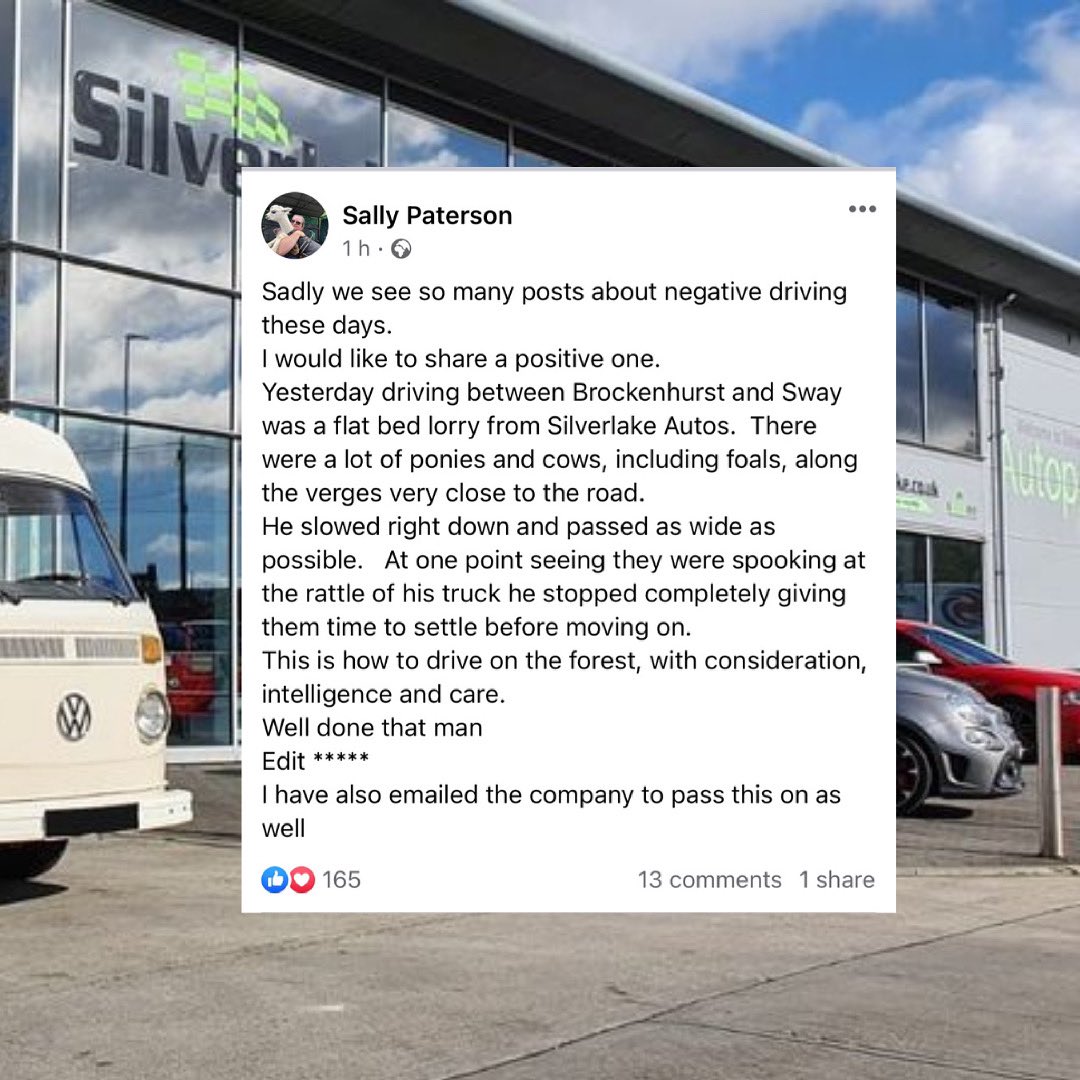 silverlakeautos's tweet image. When you stop for a moment to feel incredibly proud of the company and it’s staff! What lovely feedback after one of our drivers carefully drove his truck in the New Forest collecting cars. 
.
.
.
#newforest #welldriven #gooddriver #scrapmycar #sellmycar #scrapcarcollection