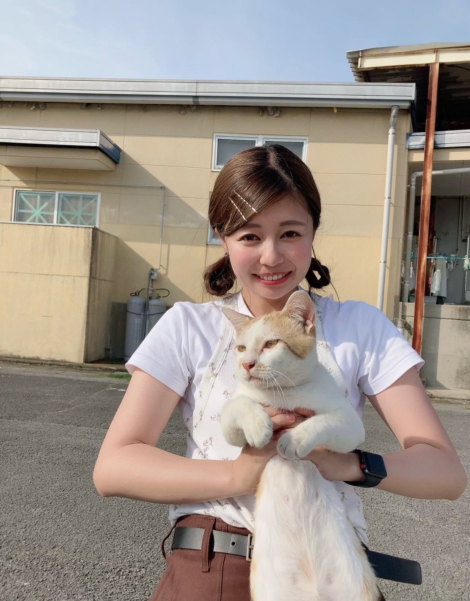 あさじげz Twitter Search あさじげz Twitter Search