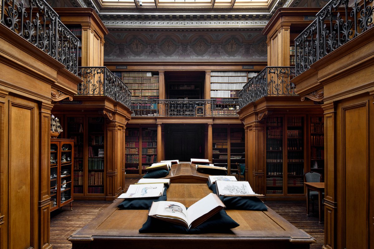 Teylers Museum tweet media