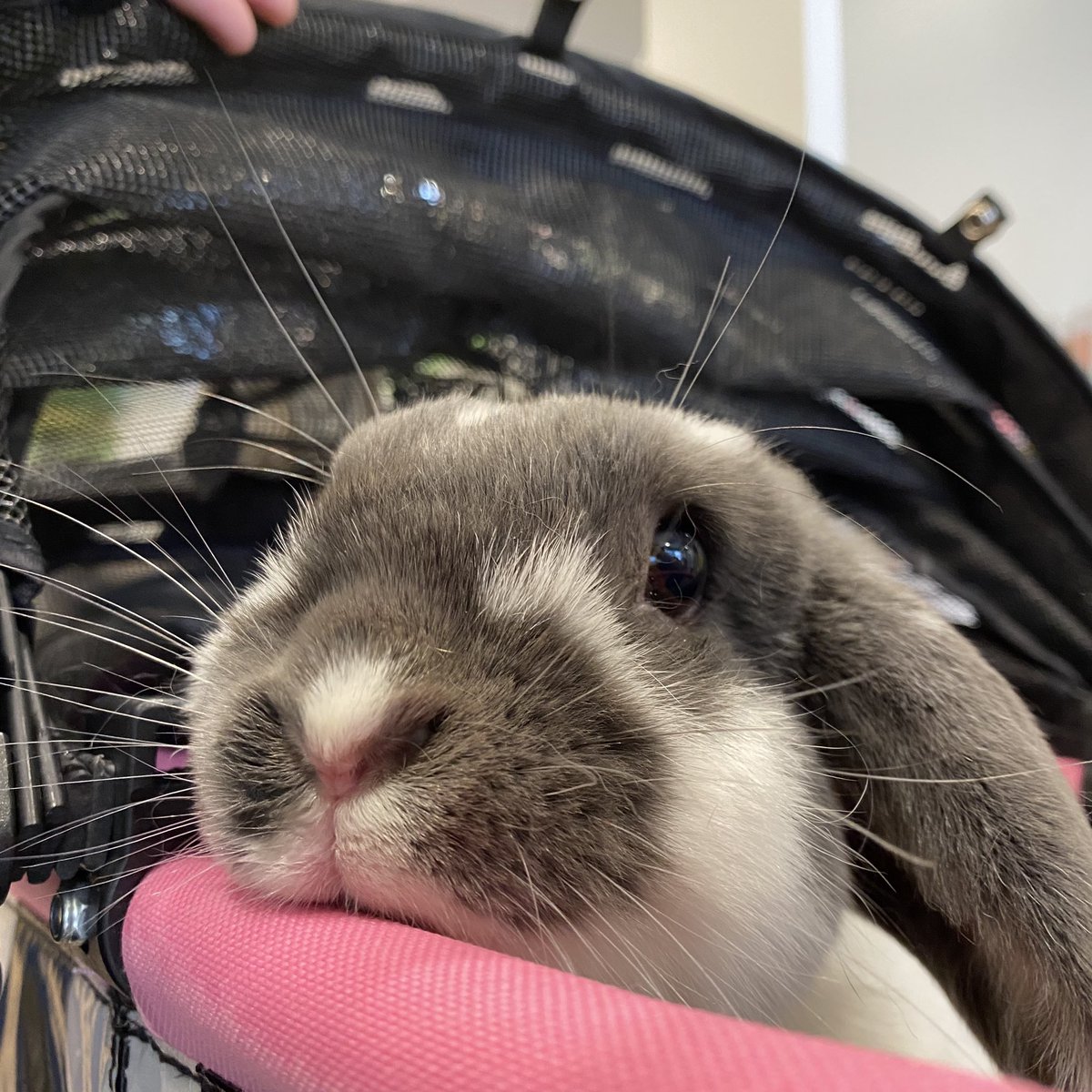 ゆうえり Eritaki86 Twitter