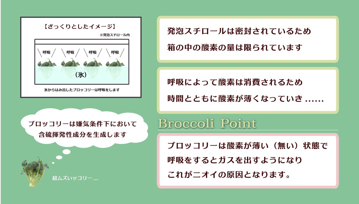 ブロッコリーから変なニオイ 漬物臭 がするのは が原因だった ブロッコリー農家の解説がわかりやすい Togetter ブロッコリーから変なニオイ 漬物臭 がするのは が原因だった ブロッコリー農家の解説がわかりやすい Togetter