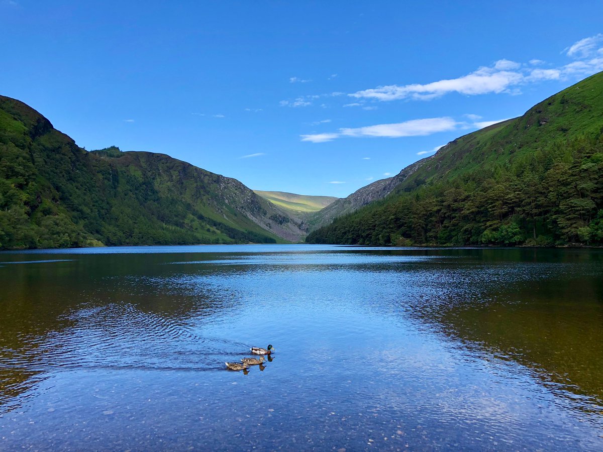 Thursday 24th June 2021, 9:06am