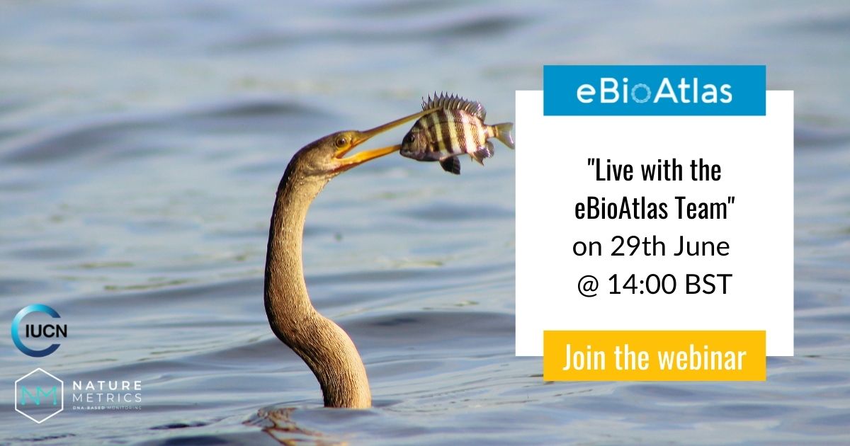 Join us for the first live webinar with the eBioAtlas team, introducing our new global programme and hearing from project partners such as Flora and Fauna international. We’ll finish with a live Q&amp;A where you can have your questions answered.

Sign up:ow.ly/En1E50FhrW9