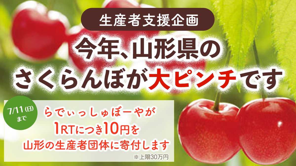 らでぃっしゅぼーや 公式 1rt 10円寄付 山形さくらんぼ農家を応援 今年4月上旬に襲った強い冷え込みにより 咲きかけのさくらんぼの花のおしべが凍って枯死し 山形県内全域で甚大な被害が出ています これからも山形のおいしい さくらんぼを食べ