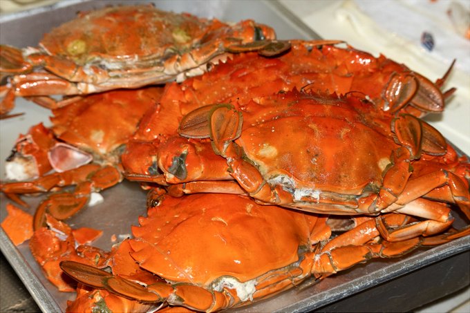 凄惨な解体現場
このままでも猛烈にうまいんだけど
なんの料理がいいかなあ 