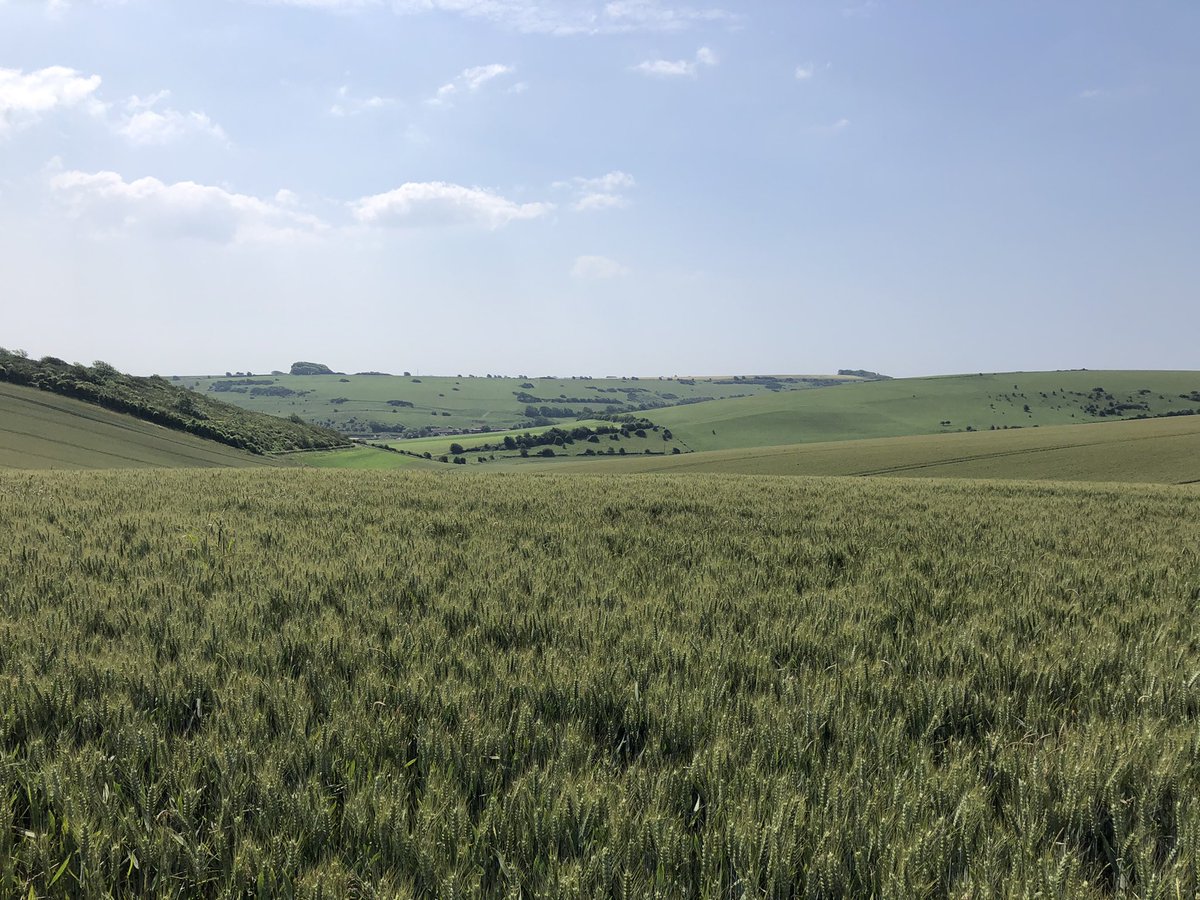 Duke of Edinburgh | Box Hill School tweet media