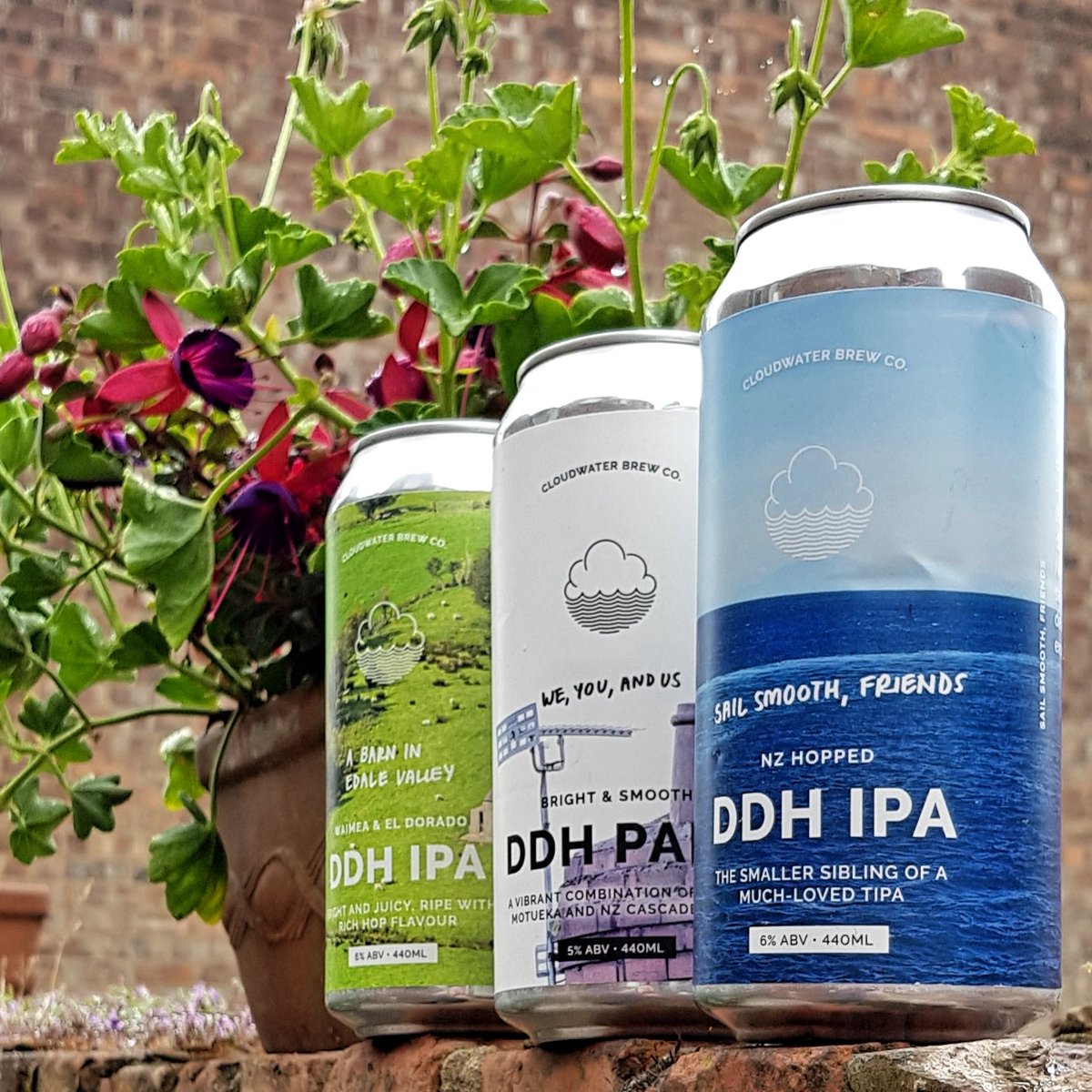 temple_beer's tweet photo. Fresh drop from @cloudwaterbrew ...DDH Pale and two DDH IPA's all packed full of New Zealand hops #DrinkFresh #HopsFadeFast https://t.co/l5uRW1rxlA