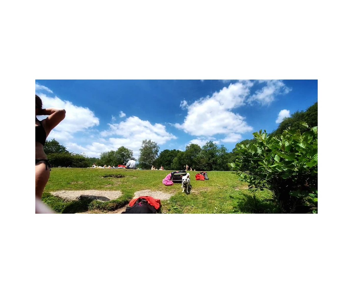Missus_Giles's tweet photo. #spitchwick #dartmoor #wildswimming there are quieter parts around there but sometimes a bit of companynisnt too irksome! https://t.co/GVR4O4tn0k