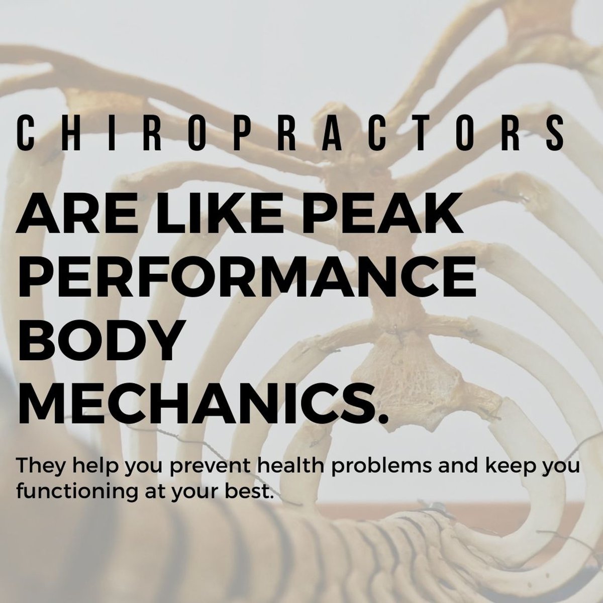 Alcoa Chiropractic tweet media