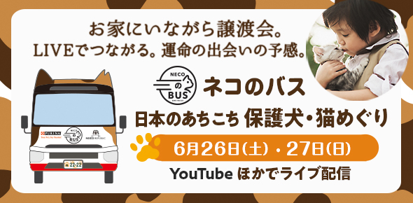 ピュリナ ワン Cat Purinaonecatjp Twitter ピュリナ ワン Cat Purinaonecatjp Twitter