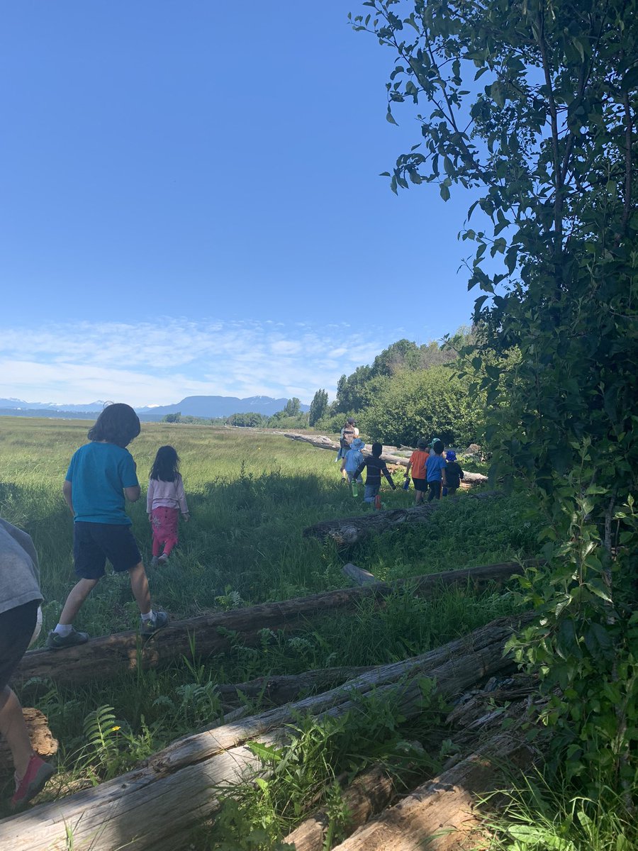 Petits Griffons tweet media