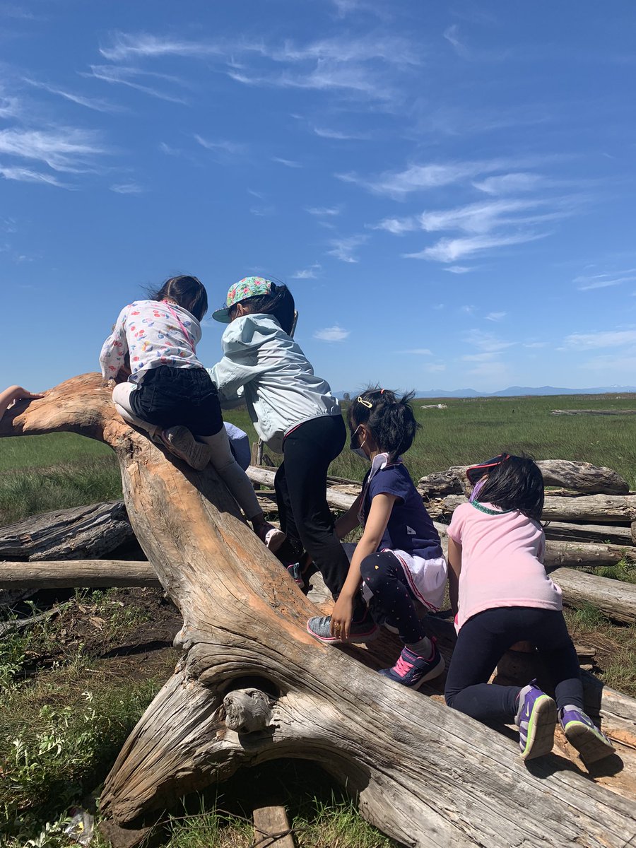 Inspired by Elaine McLeod’s bk, we went on a nature walk to the dyke on National Indigenous Peoples Day. Ss shared how they acknowledge the Land while exploring mindfully to observe with 👀 and 👂 lessons from earth. “Merci pour the Land for taking care of me” <a href="/gilmoregriffins/">James Gilmore</a>