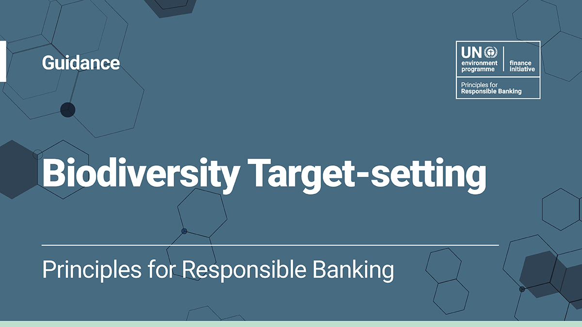 NEW: The #Guidance on Biodiversity Target Setting is now out. Discover how your #bank can set clear #biodiversity-related KPIs and targets in alignment with the Principles for #ResponsibleBanking. ow.ly/32z350FdrTk