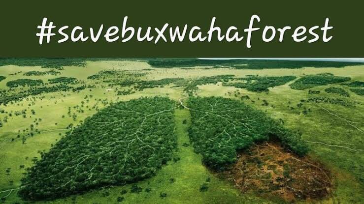 What is more important? Trees or Diamonds? #SaveBuxwahaForest <a href="/narendramodi/">Narendra Modi</a>