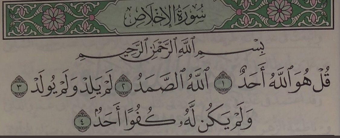 عُ 🕊 ֆ'ء tweet media