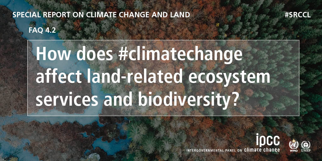 IPCC_CH's tweet photo. Learn about how #climatechange affects land-related ecosystem services and #biodiversity in the in the Special Report on Climate Change and Land 👉 https://t.co/vH4Alj560w

#SRCCL https://t.co/z8a3U6gCoi
