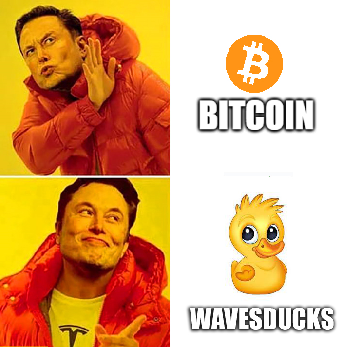 #WavesDucks #NFT $WAVES #DeFi