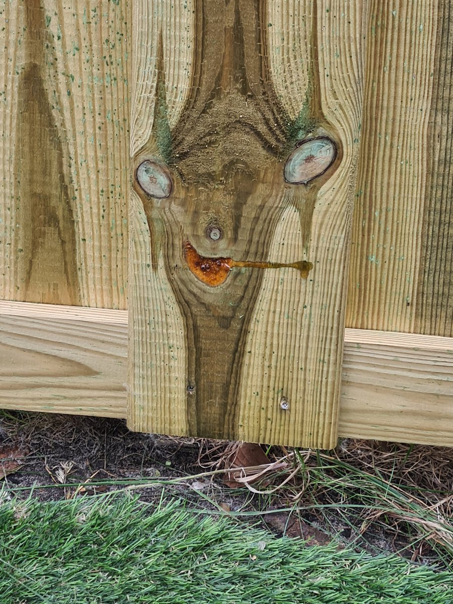 rochellaxy's tweet image. Ik heb blijkbaar Sid van Ice Age op mn nieuwe schutting.