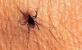 Tekenseizoen. Ga jij goed voorbereid de natuur in? Op de tekenradar kunt u zien hoe actief de teken zijn. tekenradar.nl | ggdreisvaccinaties.nl/tekenweetjes 
#lyme #beschermendekleding #blijfopdepaden #gebruikdeet #tekenvallennietuitbomen #tekenbeet #TBE