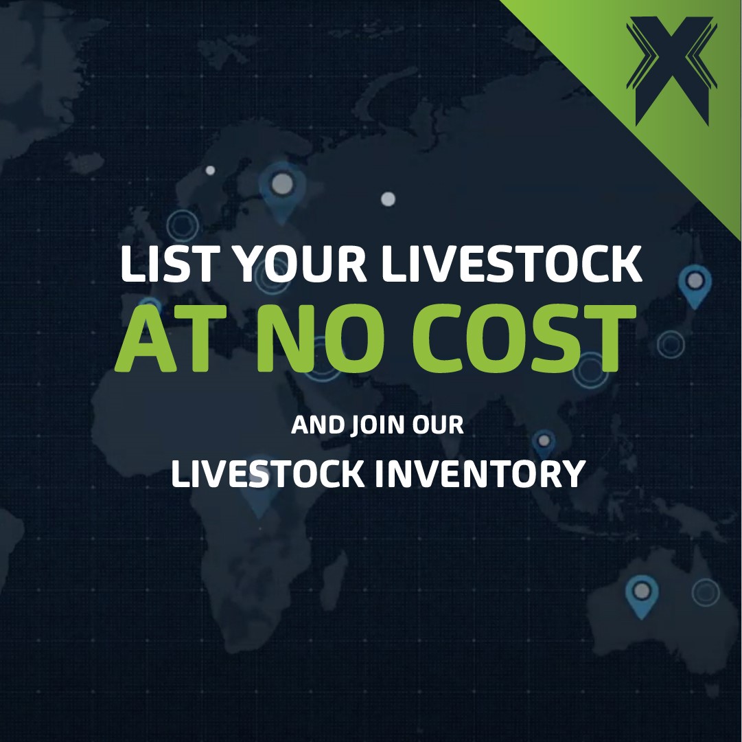 Have you seen the AXimarket? 

axichain.io/market.html