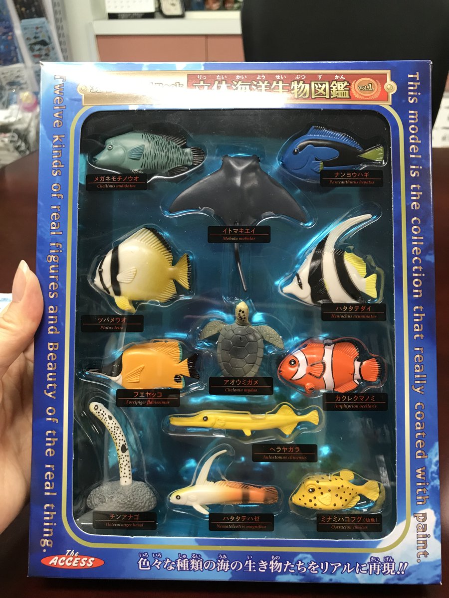 海ページ COMME des GARCONS×A BATHING APE スニーカー0ZX SH M914911 O 0ZX SH