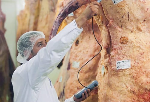 WernerGutierrez's tweet photo. "Trazabilidad: camino para garantizar la seguridad alimentaria de nuevas generaciones: https://t.co/NLbBwBv9gK" vía @ContGanadero #Ganaderia #Trazabilidad https://t.co/oIDBM64dbb