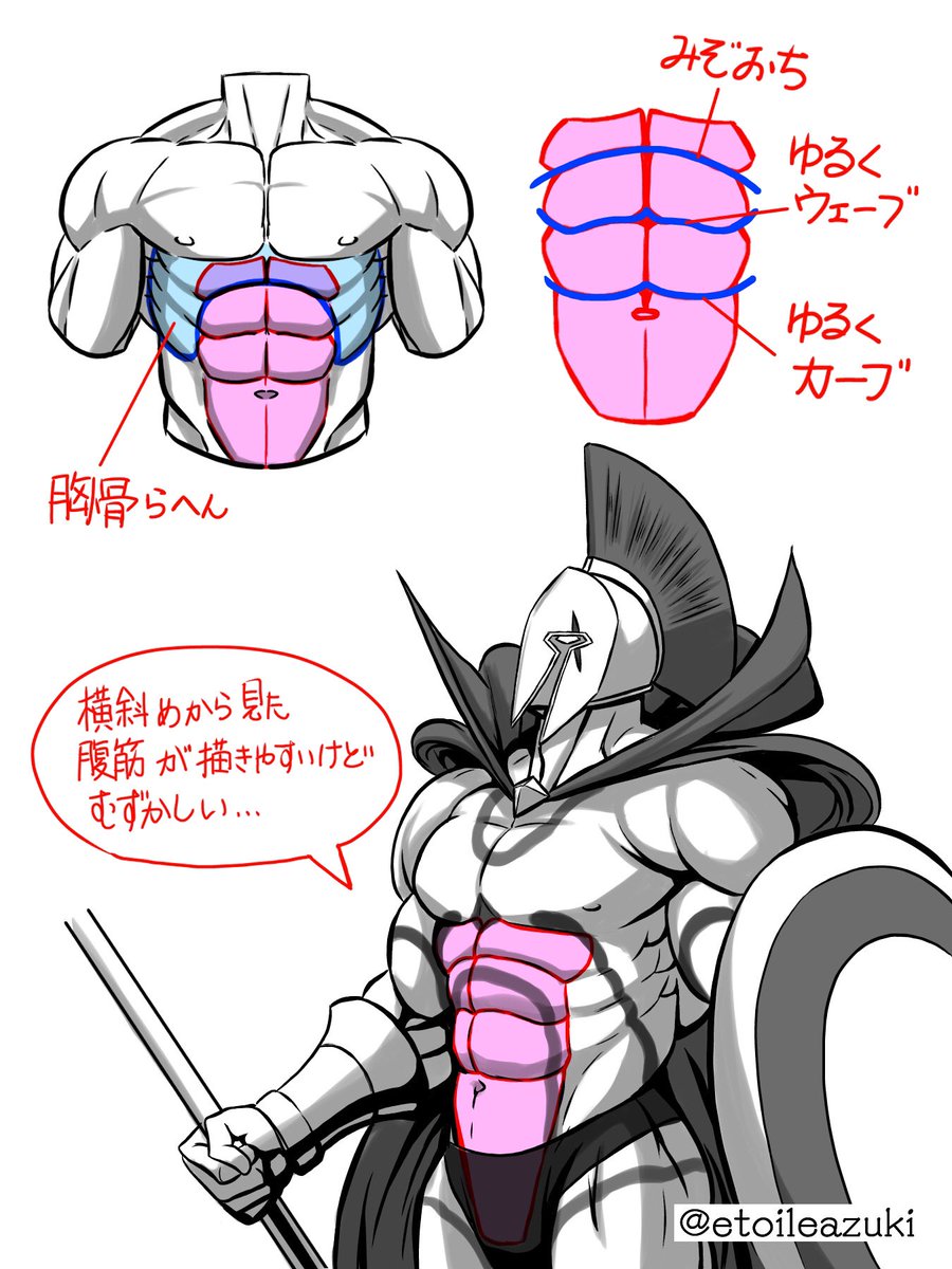 Twitter筋肉の描き方シリーズ 腹筋 筋肉のイラスト制作のことなら 筋肉イラスト製作所