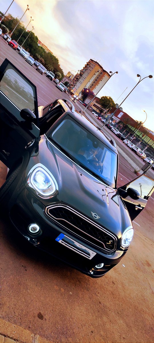 supermele's tweet image. #orgullodemini precioso mi Mini