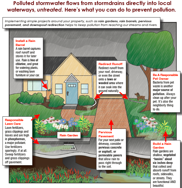 Working in your yard? Try an approach that will keep our local waterways clean by reducing stormwater pollution. Simple actions like limiting fertilizers and cleaning up after your pet can help to keep our water safe. More tips here: bit.ly/3fi8GzH  @DedhamConservation