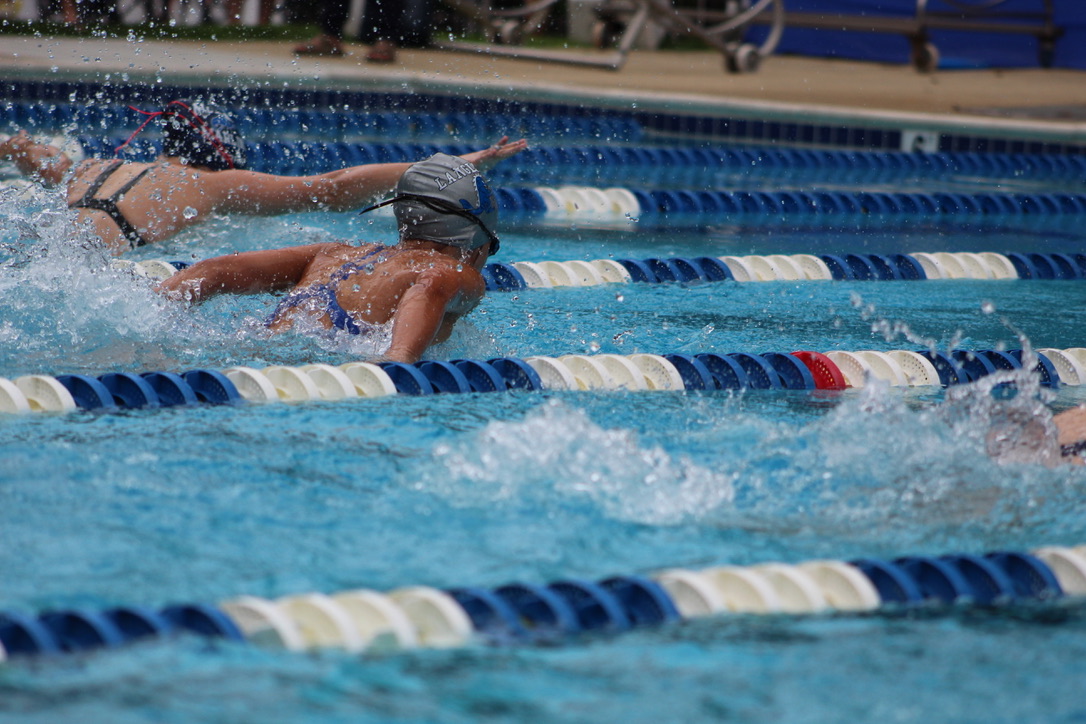 Langley Wildthings tweet media