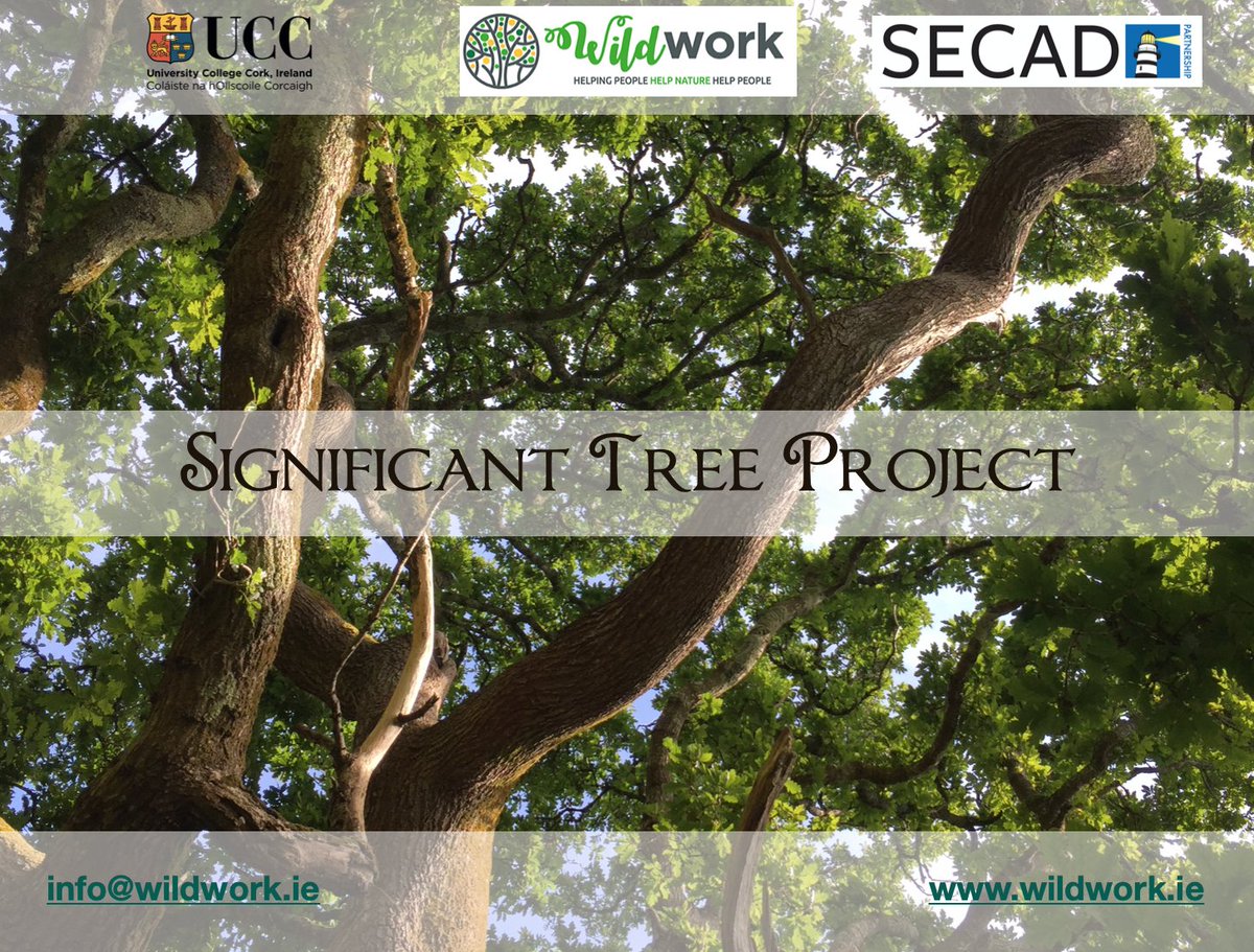 wildworkers's tweet photo. So happy to be part of this project. Just finished the methodology and learned many new things. #IamAWildWorker #YouCanBeAWildWorker #WildWorkPlacement #SignificantTrees https://t.co/TrnquEiw3n