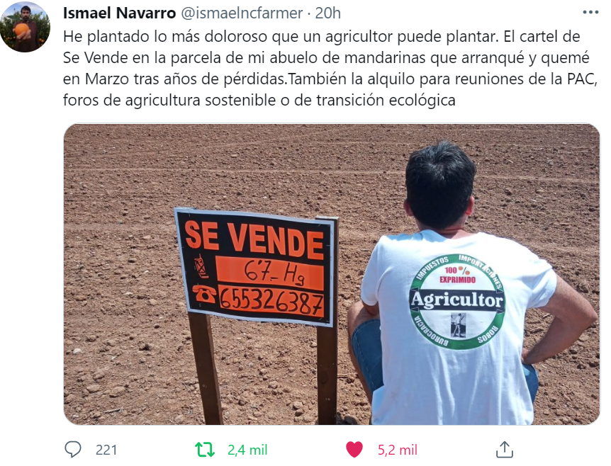 Tom tweet media