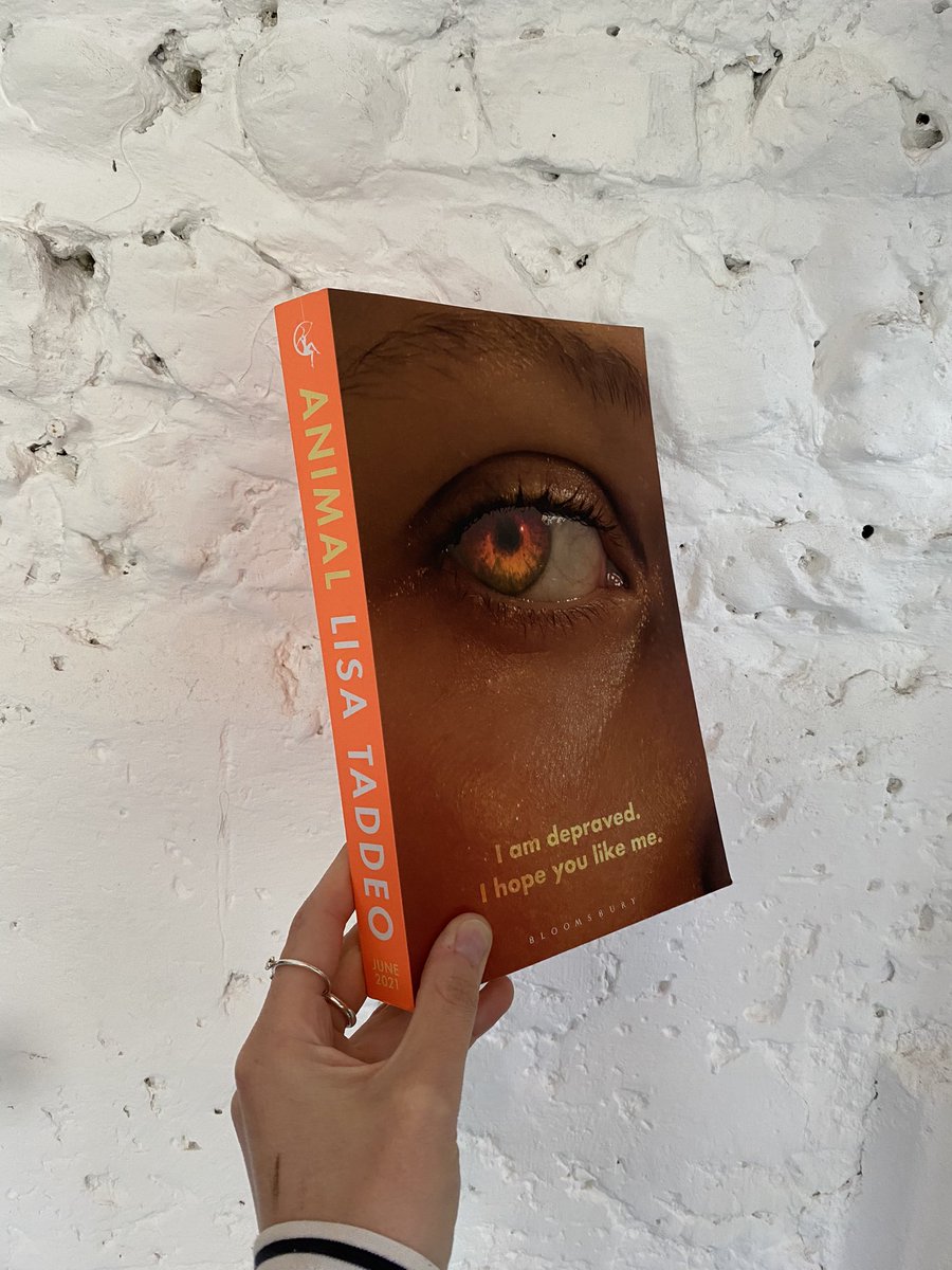 Happy publication day to @lisadtaddeo ! New novel #Animal is out today, I loved it and read it one sitting 🙌🧡 one for you summer reading list! @BloomsburyBooks