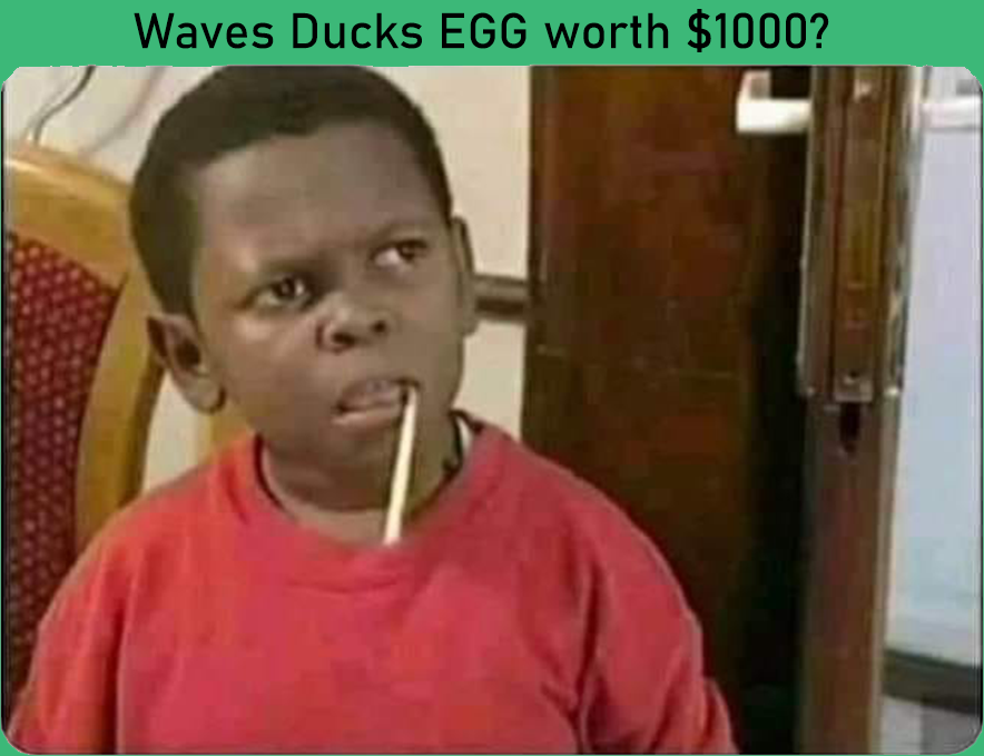DucksGod1's tweet photo. #WavesDucks #NFT $WAVES #DeFi https://t.co/IWespHoRoy