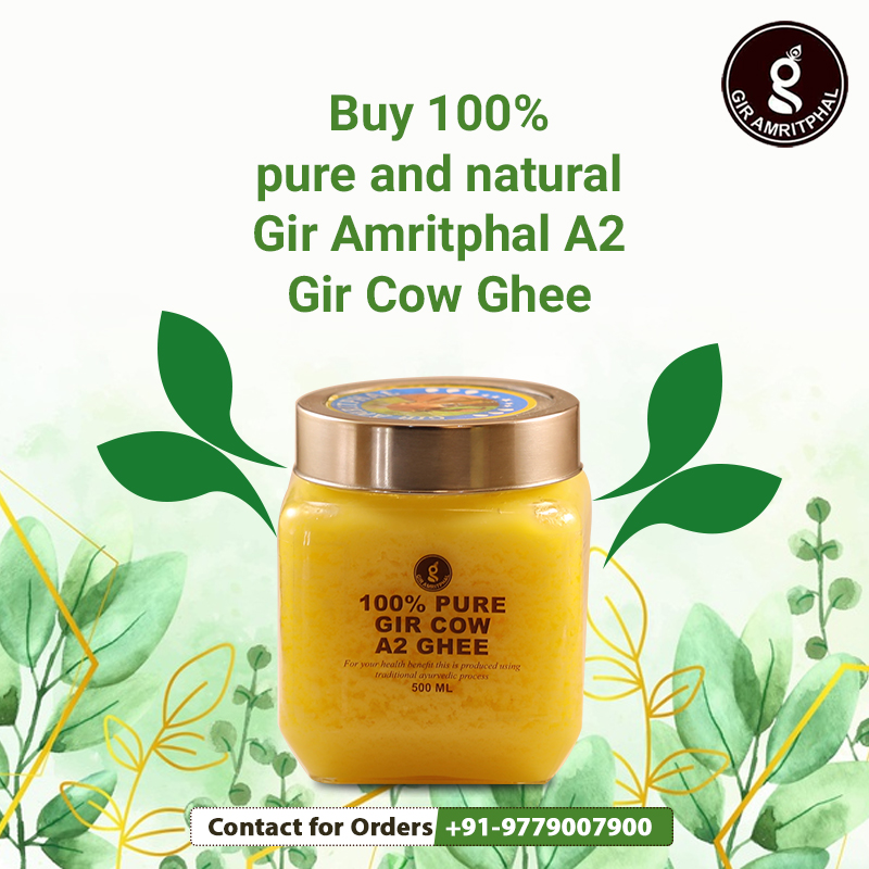 amritphal's tweet photo. Buy 100% pure and natural Gir Amritphal A2 Gir Cow Ghee.

For orders visit: https://t.co/Km4c6cV2uR
Contact: +91 97790-0790

#cowghee #giramritphal #naturalproduct #giramritphalghee #madewithlove #a2ghee #pureghee #immunitybuilder #ghee #organicproducts https://t.co/0YRj8OMaKY