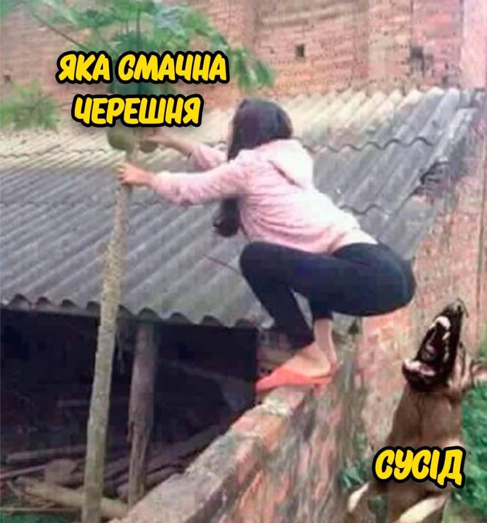 Чоткий паца (@chotkyi_paca) on Twitter photo 