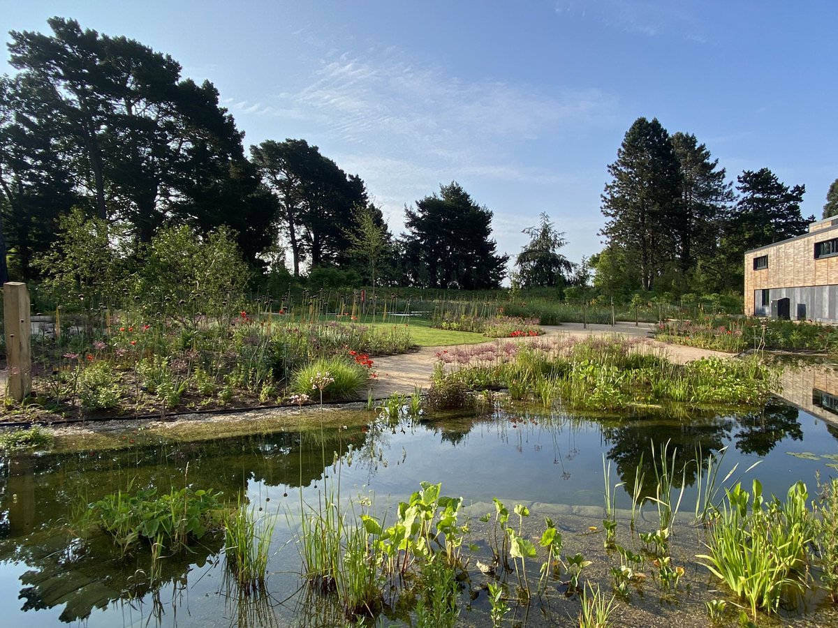 Matthew Pottage tweet media