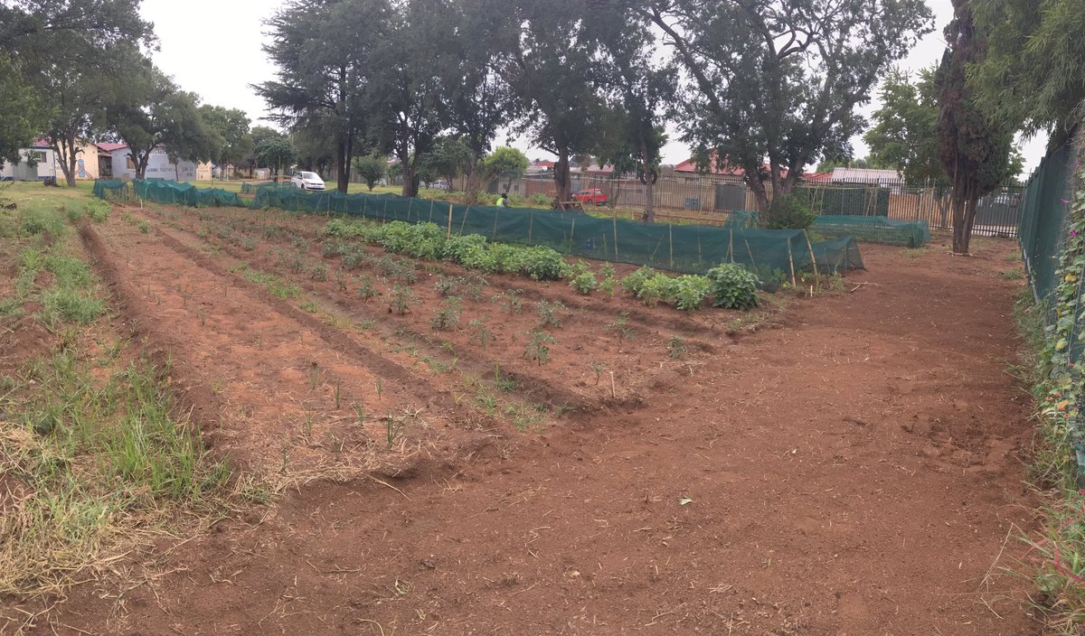 SaGreenzone's tweet photo. #GlobalGoals Making Sustainable Development Goals a local agenda https://t.co/gGCGihiEY2