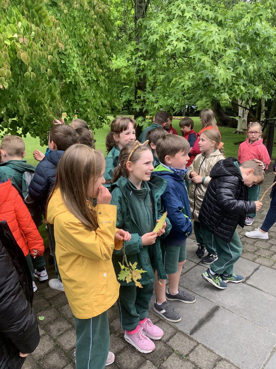 GNaofa's tweet photo. Rang 2 ar turas go UCC ag foghlaim faoi na gcrainn go lΓ©ir ann. Γ‘r mbuiochas le DaidΓ TomΓ‘s @eoinlettice #ucc #treetour https://t.co/Qgypzzpjv1