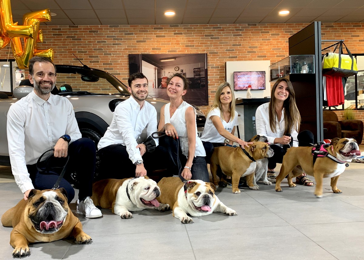 AltitudeBMWMINI's tweet photo. #WeAreAltitude – INVITÉS DE CHOIX 🐶🇬🇧
 
THE MASCOT IS BACK chez Altitude
... et il n’est pas venu seul !

DEVINEREZ-VOUS le message qu’ils portent fièrement ?

BIG … WHAT?

Commentez et participez, vous aussi au mouvement !

#AlldifferentButPrettyGoodTogether https://t.co/V1mKoG6nSP
