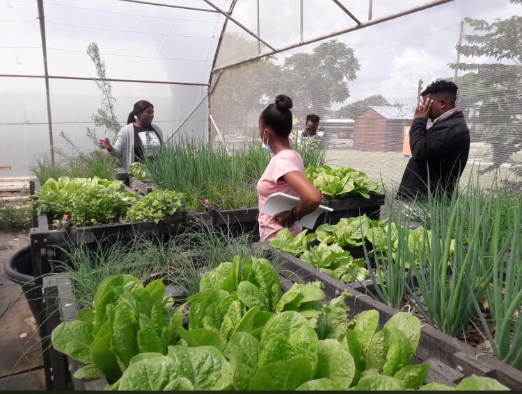 SaGreenzone's tweet photo. @UN_SDG @GlobalGoalsUN #GlobalGoals Food security Project https://t.co/FLBUtOUtEe