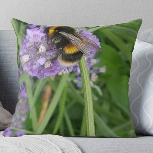 Wildlife and natures images printed on to gifts and homeware. <a href="/myonlinegifts/">Wildlife.gifts.online</a> please follow link in bio for more details. 
#redbubble #homedecor #nature #photography #gifts #animals #bees #cushioncover