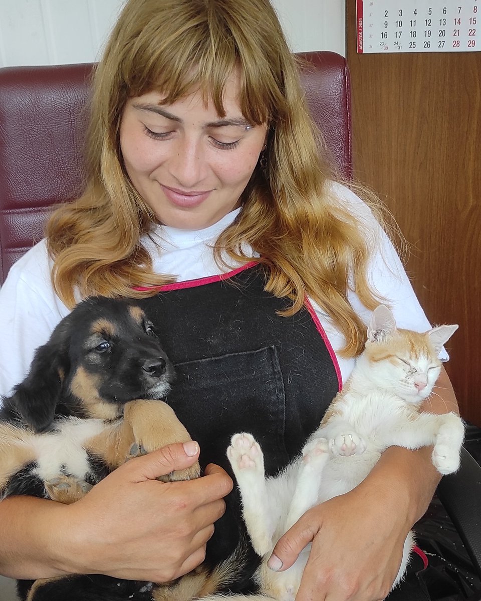 Kim demiş kedi ve köpek anlaşamaz diye 🤗 Roza'mız yeni bir yuvaya kavuştu, Teo kedimiz de Kars'a yola çıktı ameliyat için. İkisinin de yolu açık, şansı bol olsun. 🙏🍀🐾