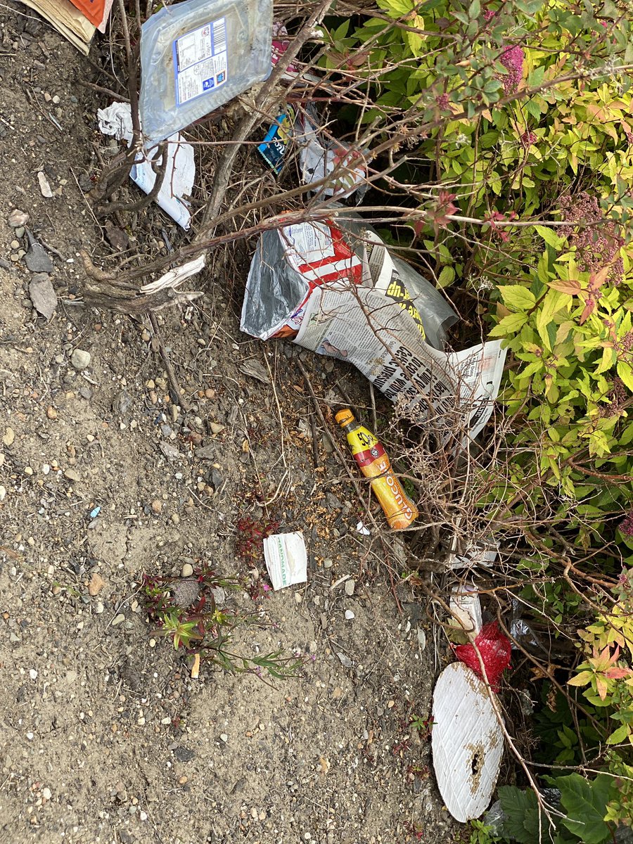 BakingBikerChic's tweet photo. @falkirkcouncil @WOMANALOUD @CecilMeiklejohn Garry Place in Hallglen this morning. You’ve got council waste vans in the street driving past and ignoring this cess pit. How long do we have to put up with this? This is disgusting and a health hazard https://t.co/GEMOqNCHpi