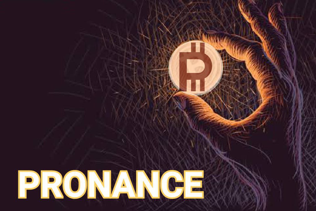 Please Visit our website and have a look at our RoadMap and WhitePaper
pronance.com
Please do vote on Coinsniper
coinsniper.net/coin/3589
Join in our Telegram Family
t.me/PronanceCoin

#Pronance $PNB