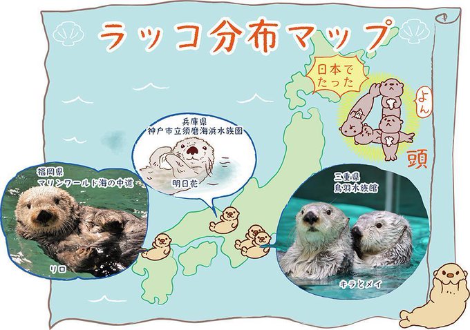 鳥羽水族館のtwitterイラスト検索結果