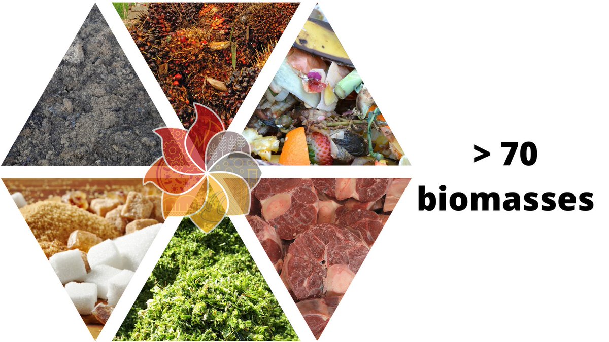 SebigasRE_'s tweet photo. #biomasses studies for the ad hoc recipe of each plant. The #sebigas portfolio boasts a wide variety of matrices used in #biogas plants, exceeding 70. Follow our social media to find out more about the matrices that can be used in #biogasplants! https://t.co/8MzUrp4gRA