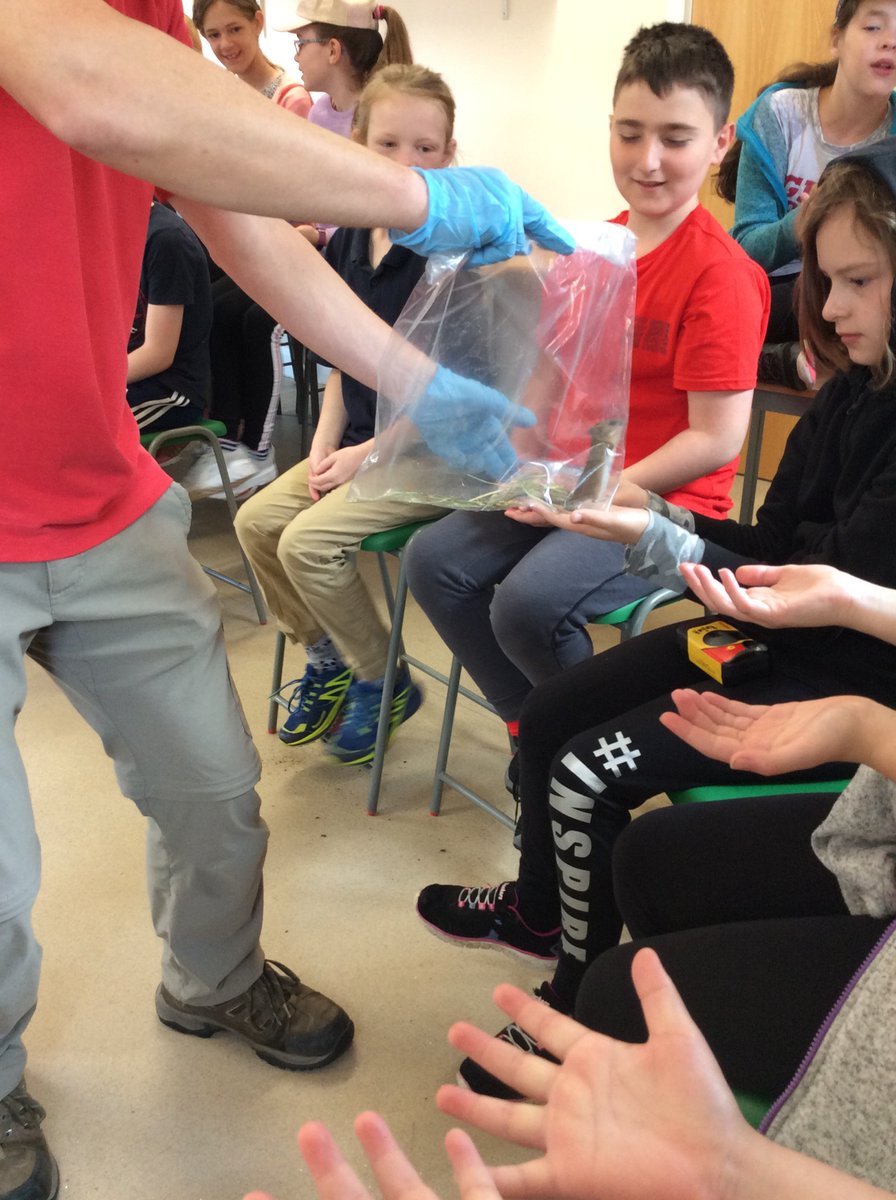 Our mammal hotels were successful!