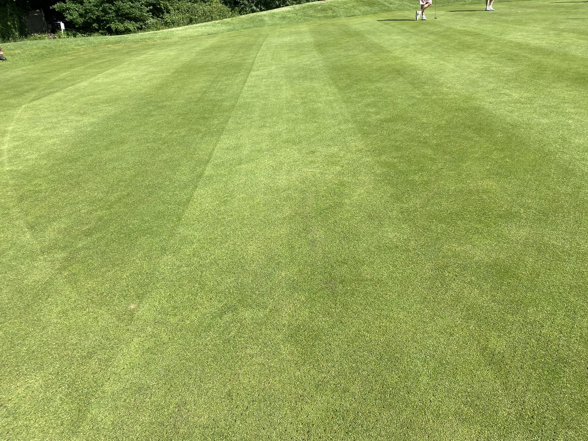 Redlibbets Greenstaff tweet media