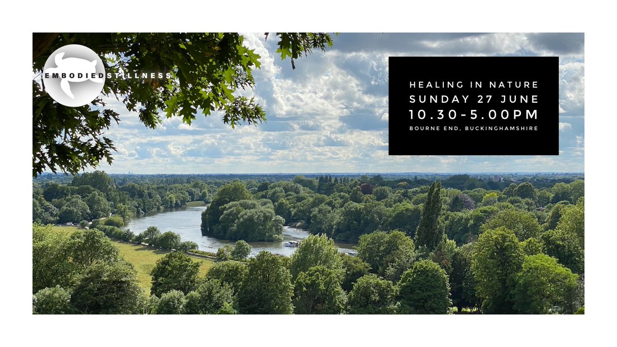 Experience spontaneous movement #Qigong in person + benefit from the strong group energy that is created when we are all in the same place
app.acuityscheduling.com/schedule.php?o…

#workshop #vortexhealing #healing #health #wellness #wellbeing #togetheragain #selflove #selfhealing #breathwork